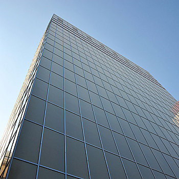 金漸層銀漸層幼貓多少錢？讓你了解價格背后的價值與魅力