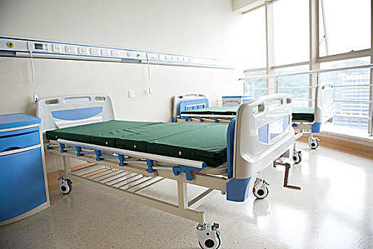 3個月母緬因貓應該吃多少？科學喂養指南助力貓咪健康成長