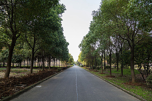 金牌月嫂一線城市多少錢？揭秘高端月嫂服務價格與市場現狀