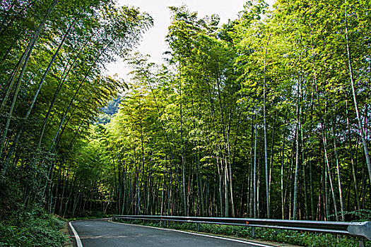 一般在醫(yī)院請陪護多少錢？全面解析醫(yī)院陪護費用及選擇指南