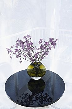 金剛川預計票房多少？影片背后的市場潛力與觀眾期待