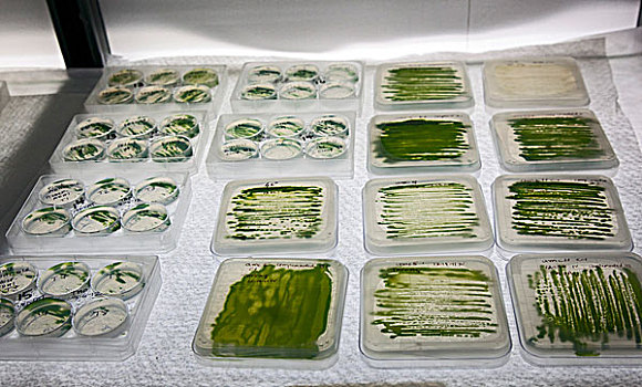 無錫鐘點工多少錢？讓您輕松解決家務困擾